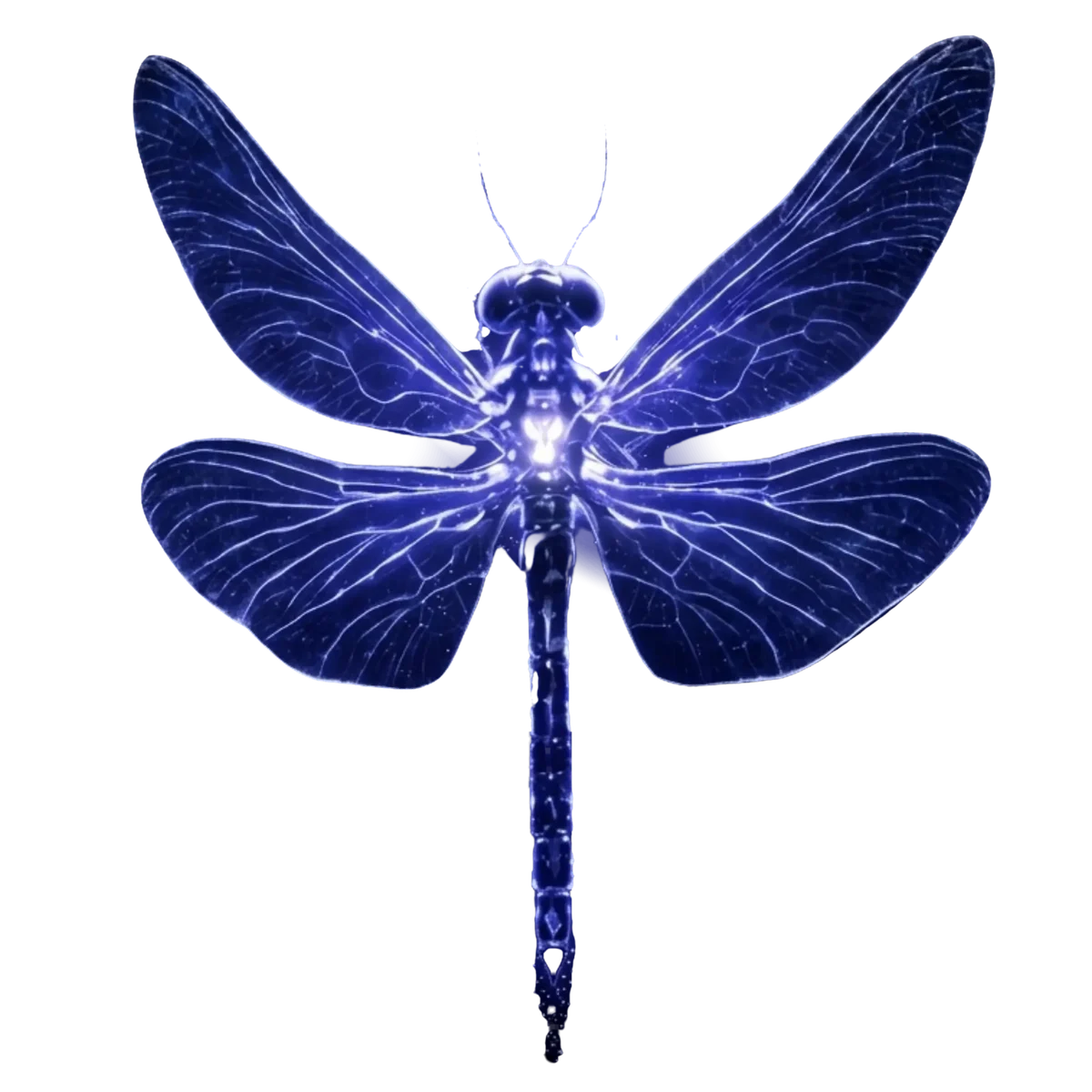 Leuchtende Libelle, das Zeichen von SmartAmt